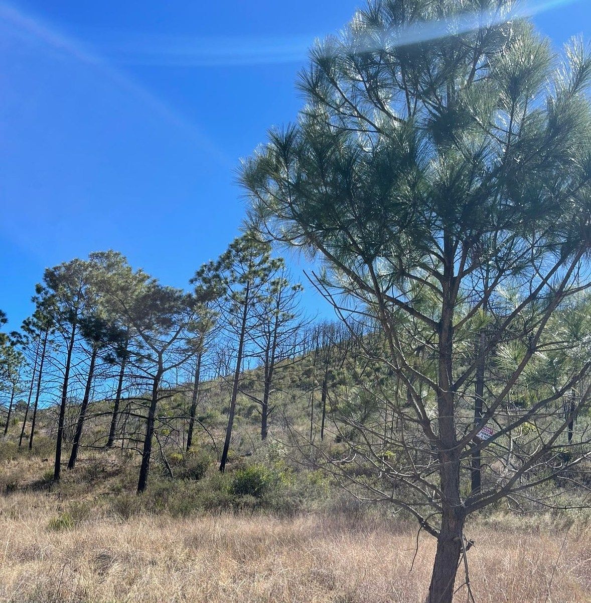 Lote em Laguna de Sánchez, Santiago, foto 3 de 4