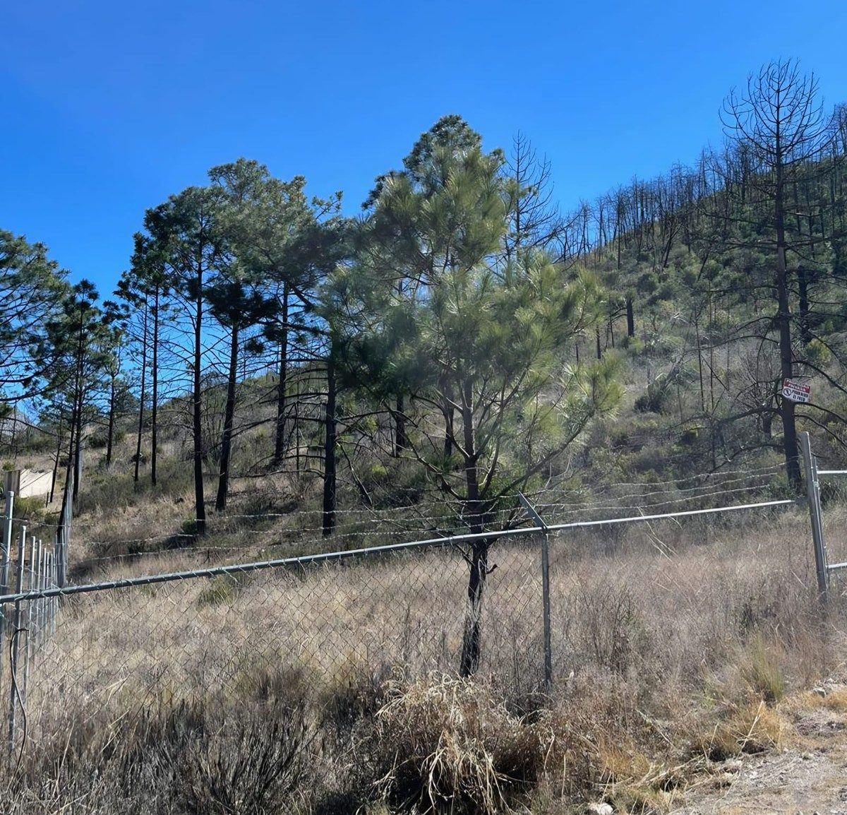 Lote em Laguna de Sánchez, Santiago, foto 4 de 4