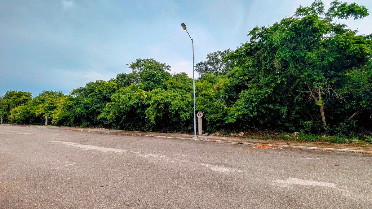 Terreno en Komchen, Mérida, foto 5 de 13