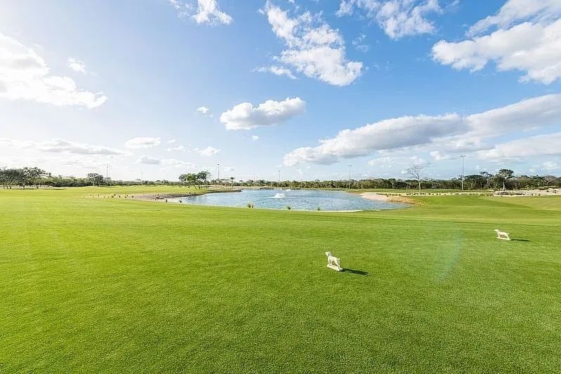 Lote em Tamanché, Mérida, foto 14 de 23