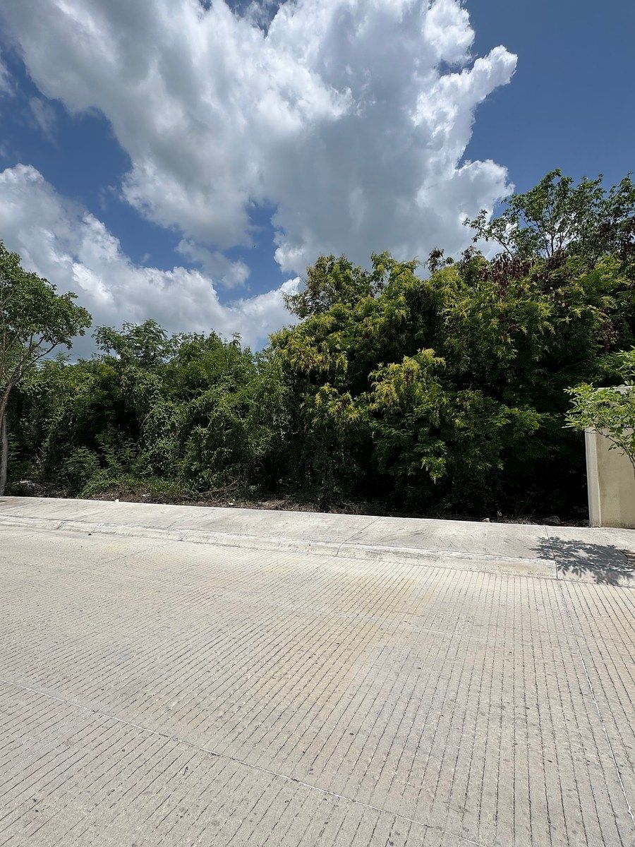 Lote em Tamanché, Mérida, foto 8 de 23