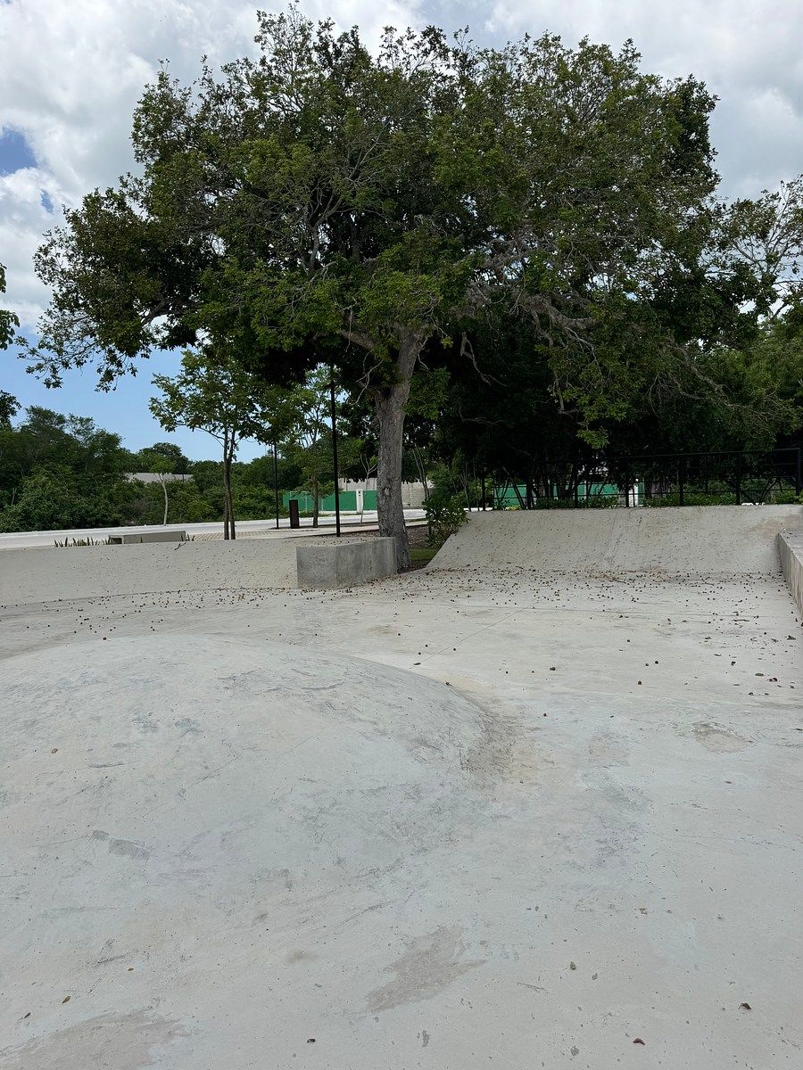 Terreno en Tamanché, Mérida, foto 6 de 25