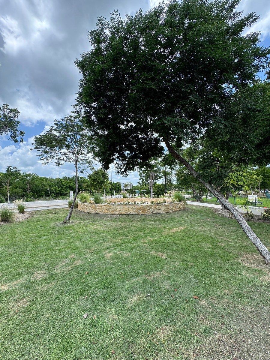 Terreno en Tamanché, Mérida, foto 10 de 25