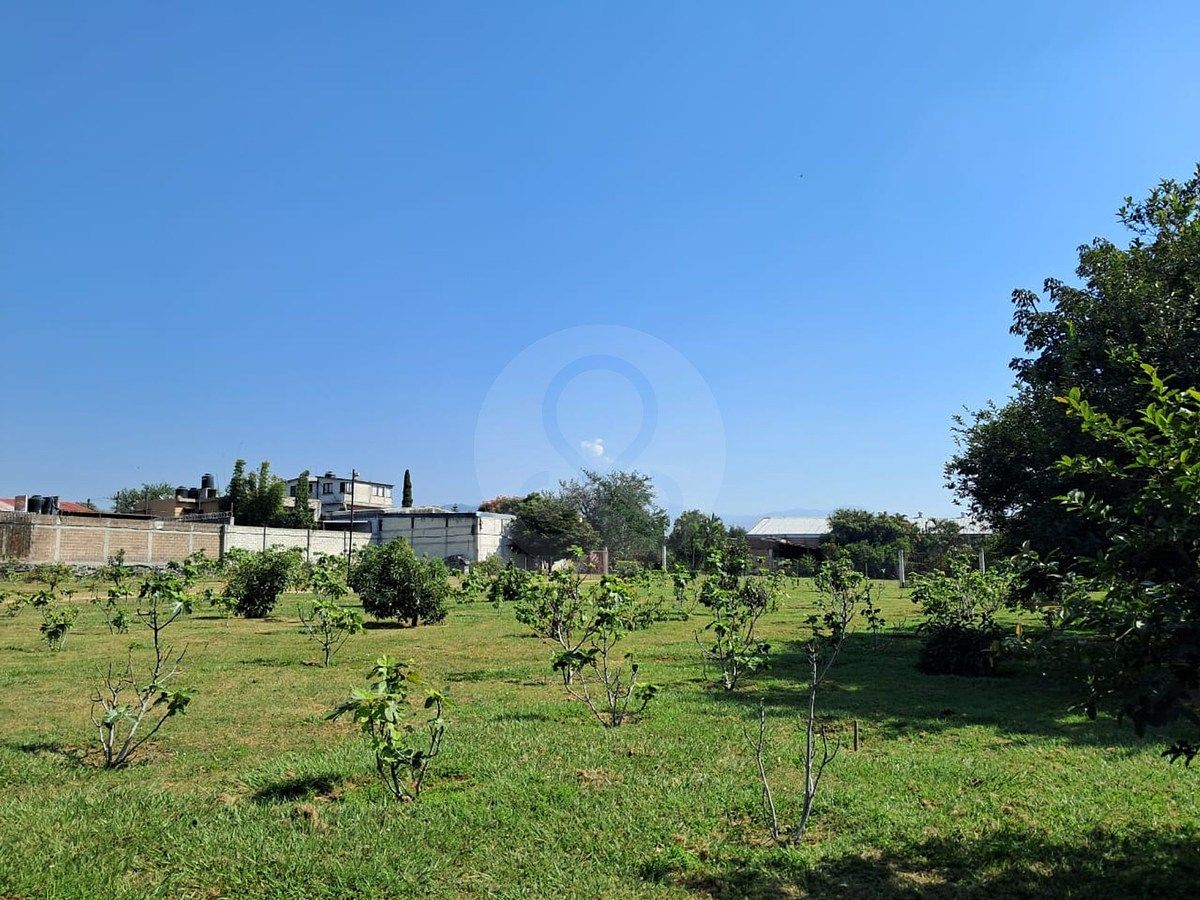 Lote em Xalpa, Yecapixtla, foto 4 de 10