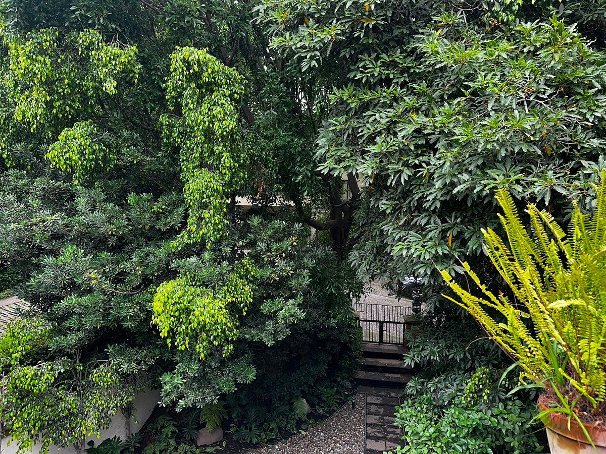 House in Bosque de las Lomas, Miguel Hidalgo, photo 18 of 18