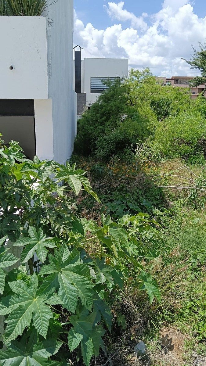 Terreno en Zibatá, El Marqués, foto 2 de 8