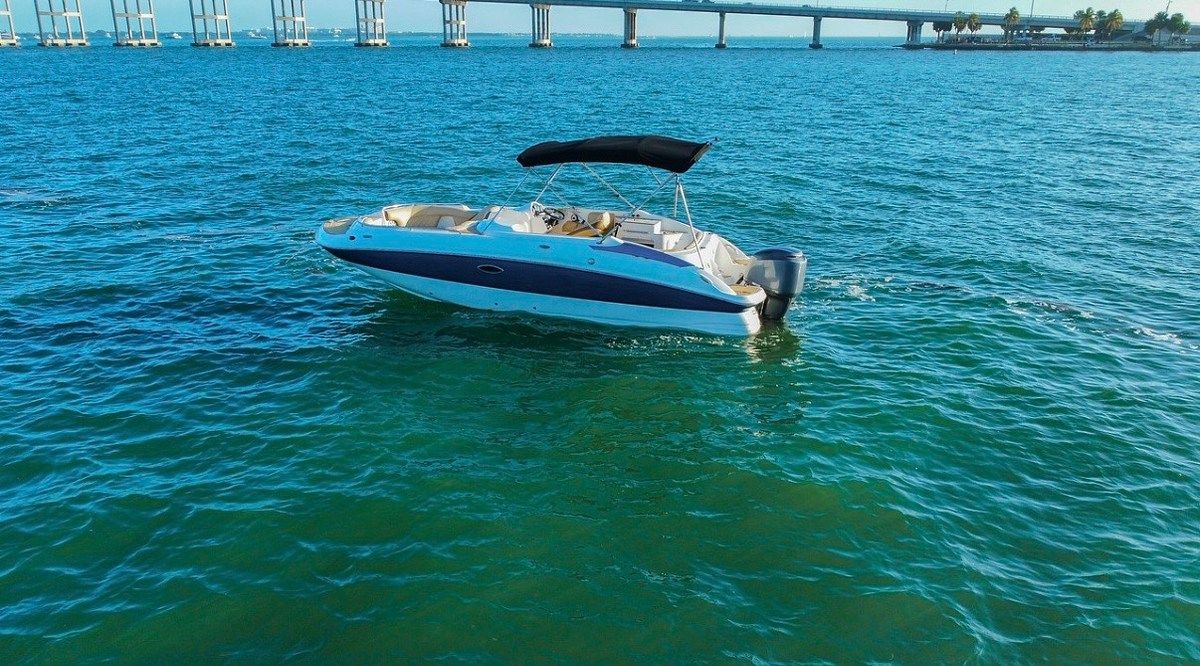 Otro en Miami, Miami, foto 10 de 15