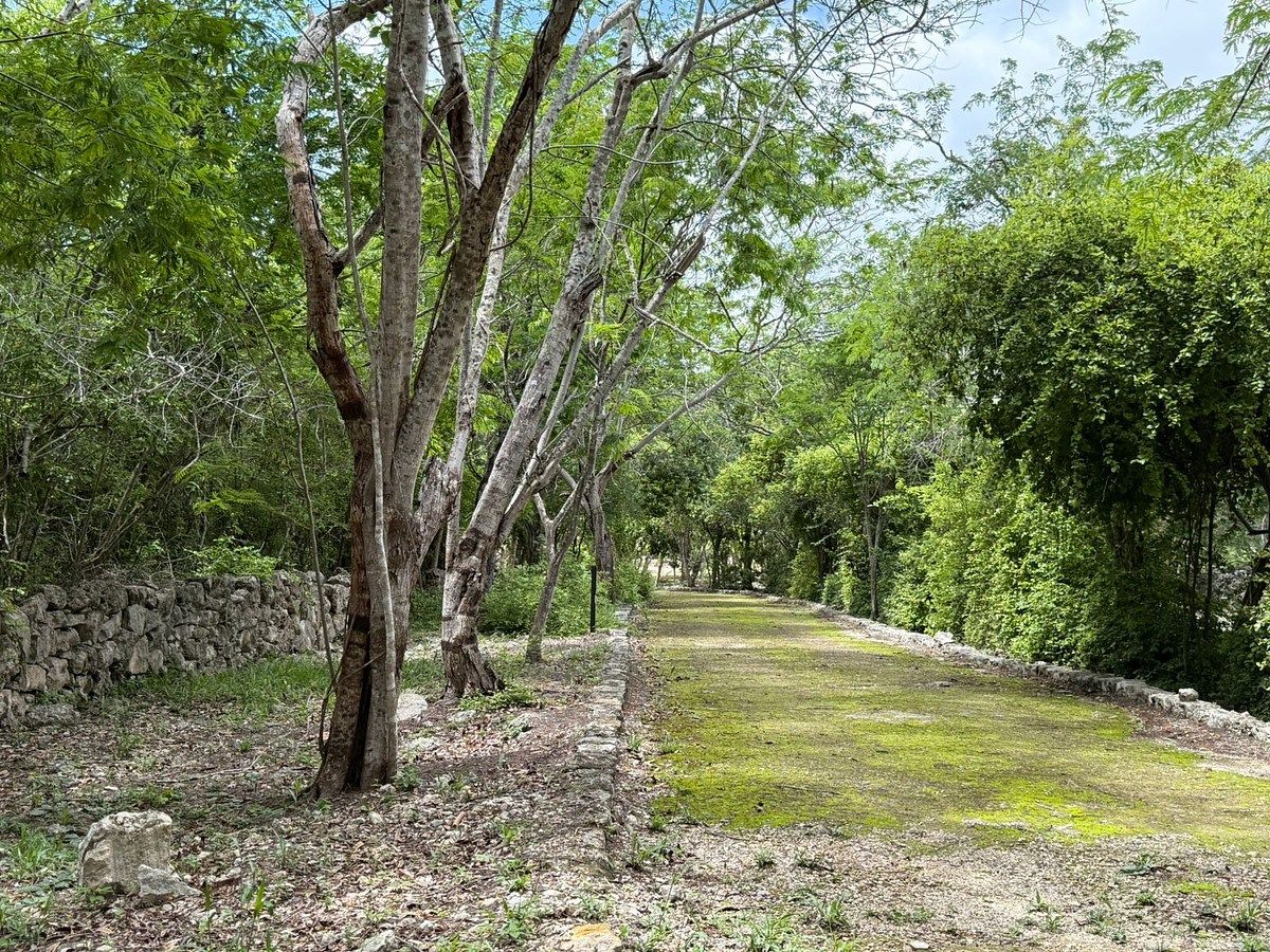 Terreno en Dzibilchaltún, Mérida, foto 4 de 20