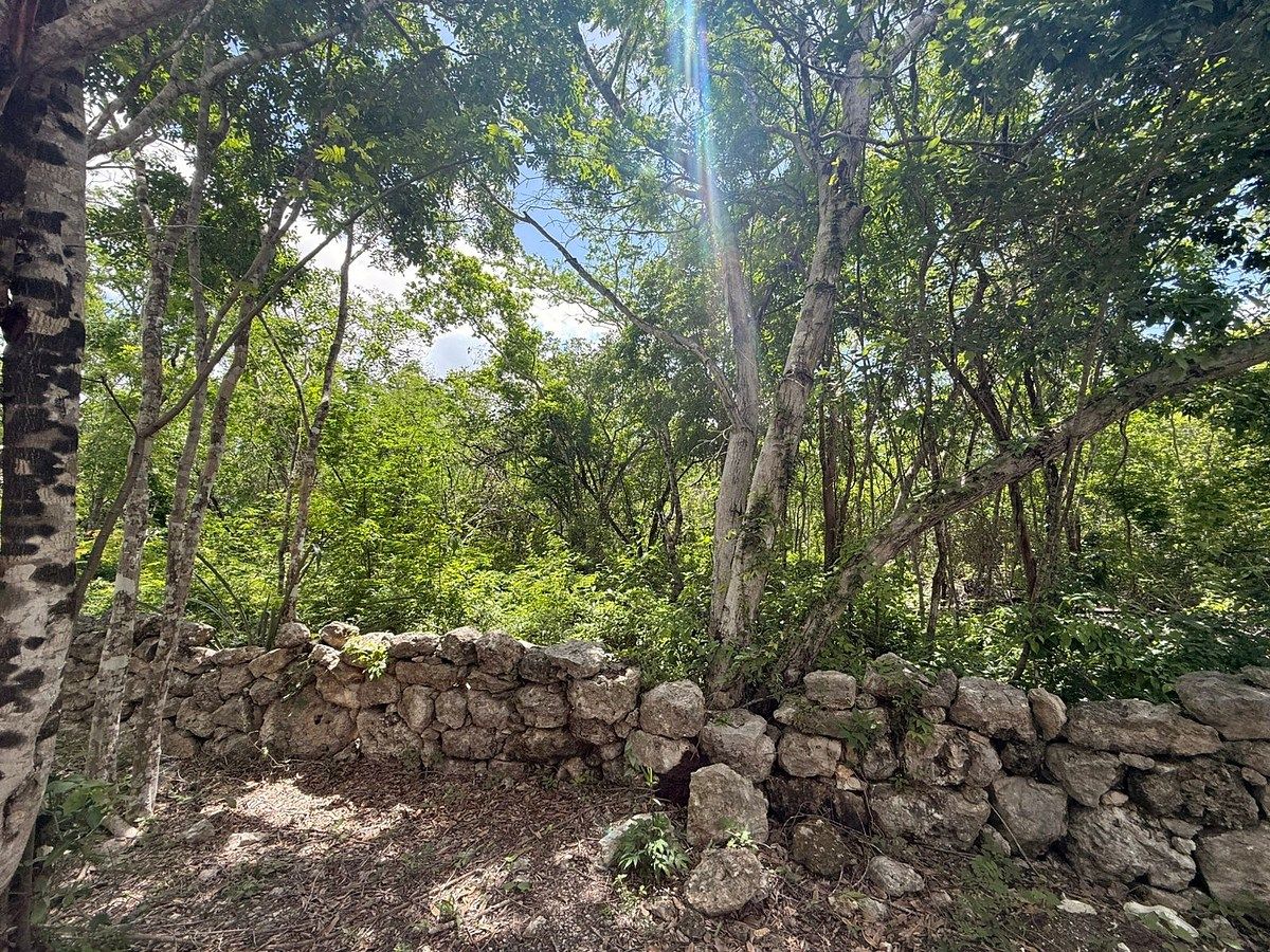 Terreno en Dzibilchaltún, Mérida, foto 5 de 20