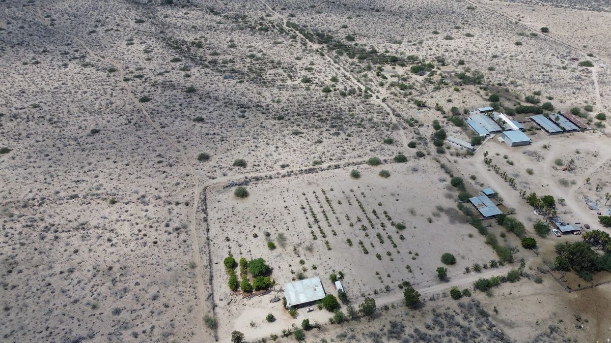 Rancho en Todos Santos, La Paz, foto 6 de 45
