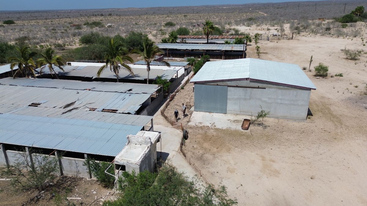Rancho en Todos Santos, La Paz, foto 11 de 45