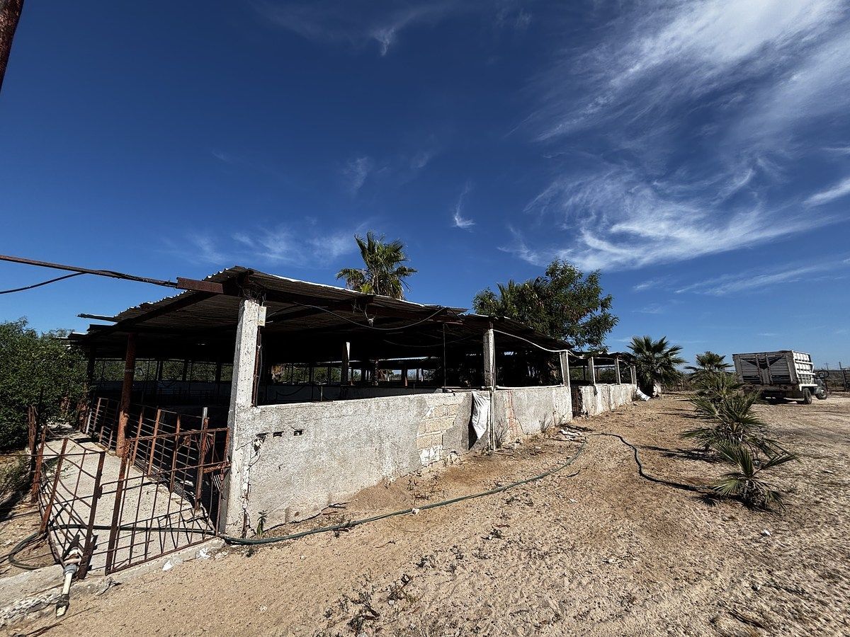 Rancho en Todos Santos, La Paz, foto 20 de 45
