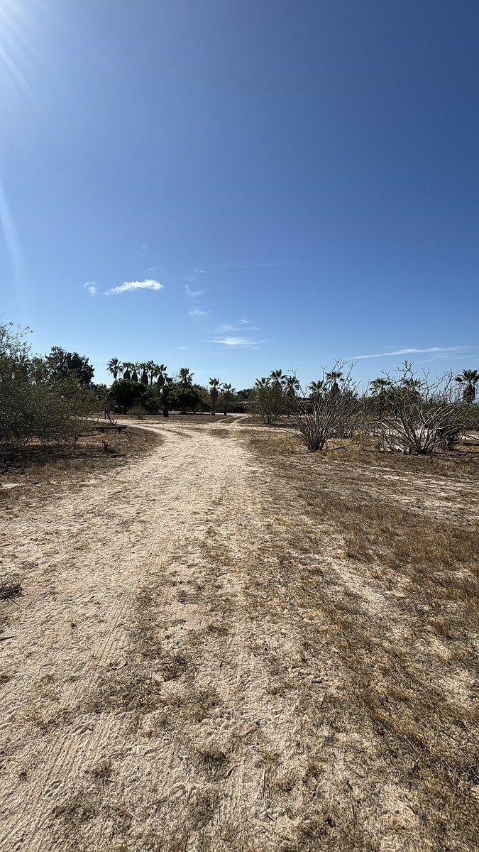 Rancho en Todos Santos, La Paz, foto 28 de 45