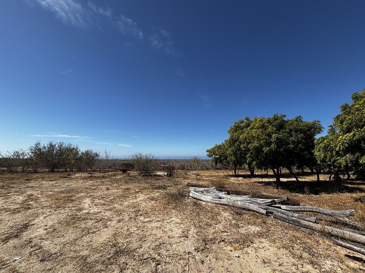 Rancho en Todos Santos, La Paz, foto 32 de 45
