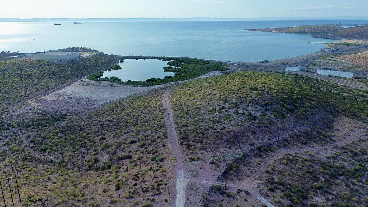 Lote em Puerto de Pichilingue, La Paz, foto 16 de 20