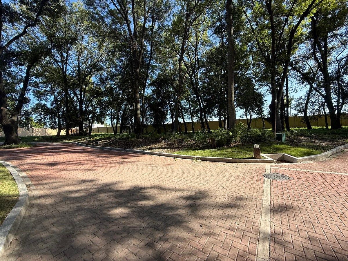 Entorno lote 36, foto 6 de 19