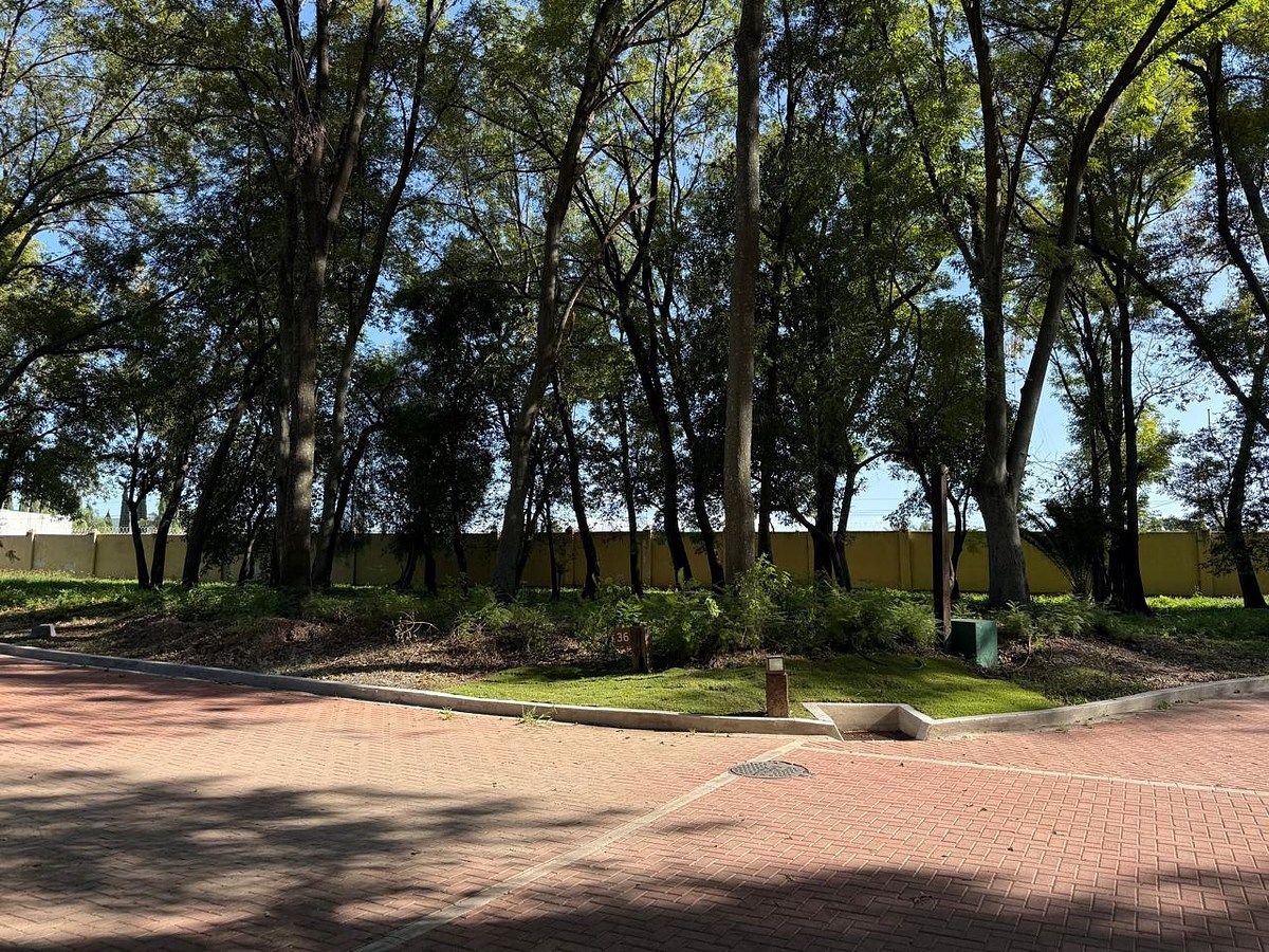 Entorno lote 36, foto 4 de 19