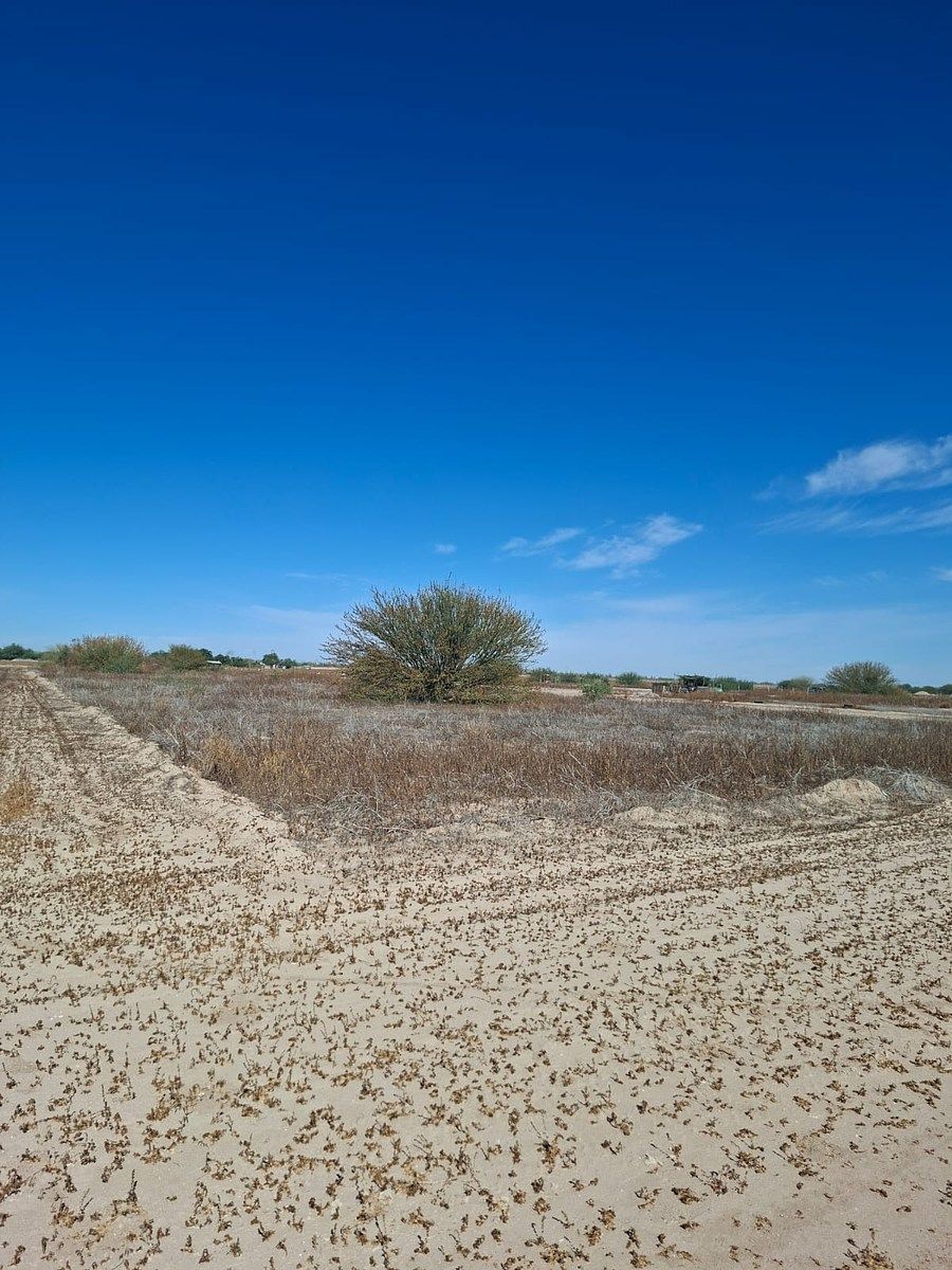 Lote em Chametla, La Paz, foto 7 de 13