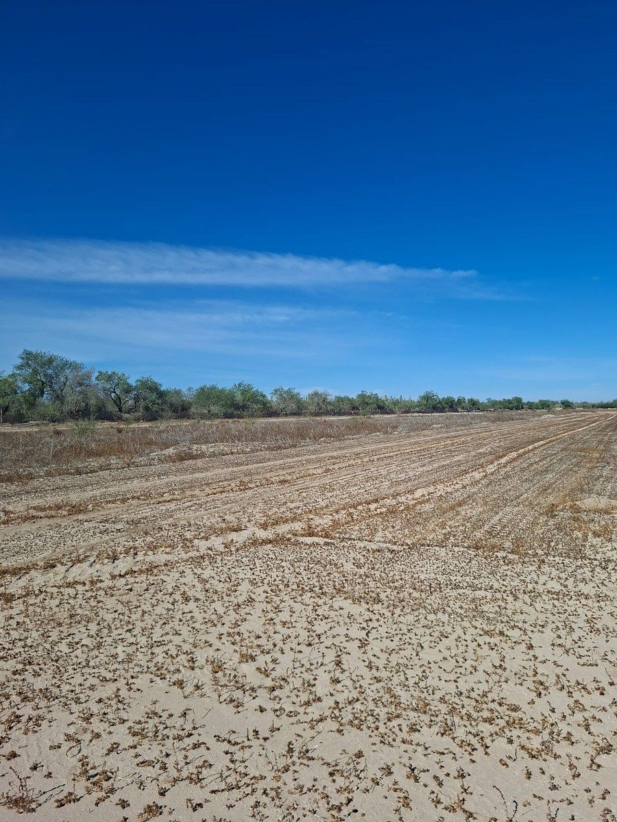 Lote em Chametla, La Paz, foto 8 de 13