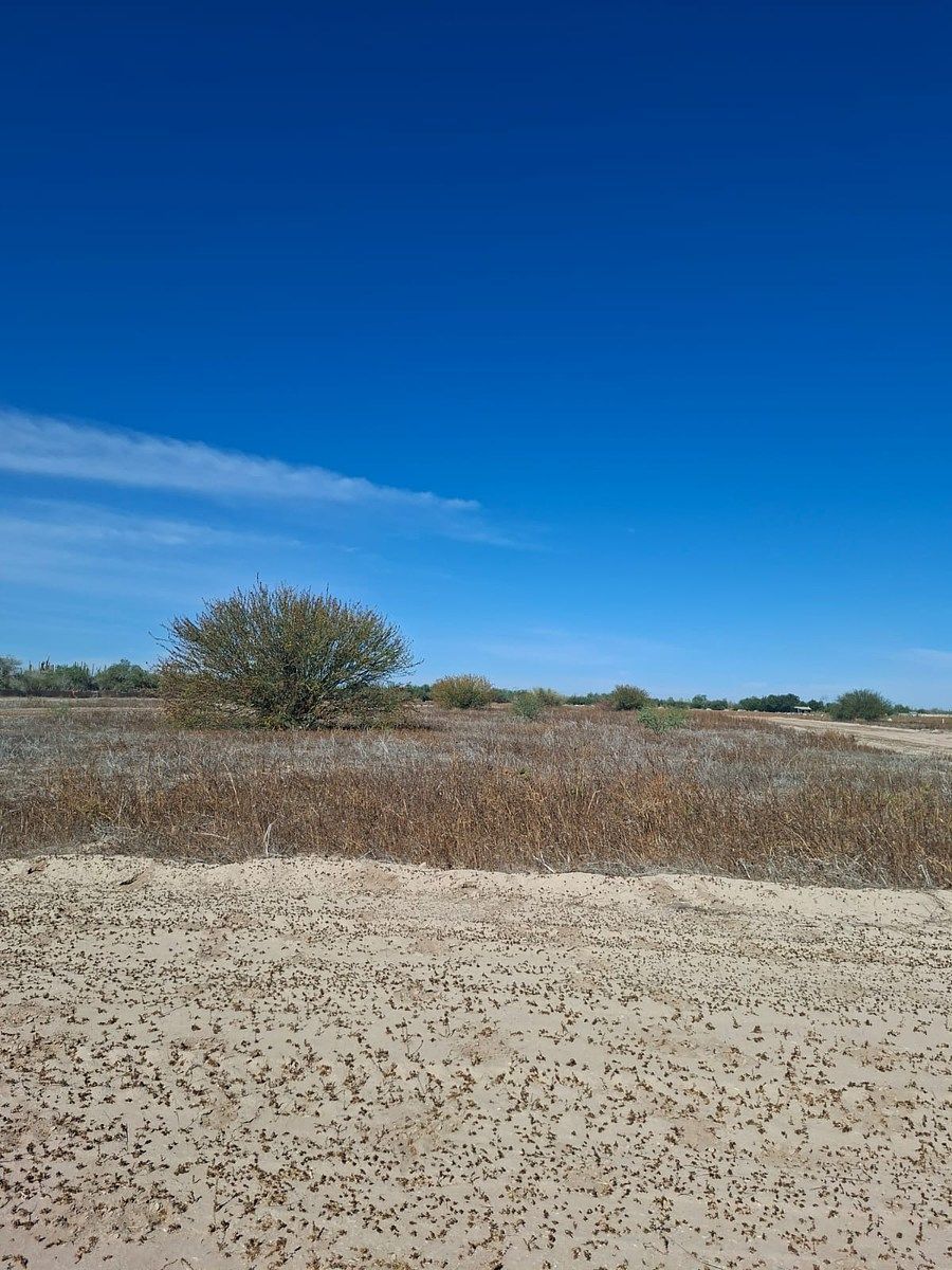 Lote em Chametla, La Paz, foto 10 de 13