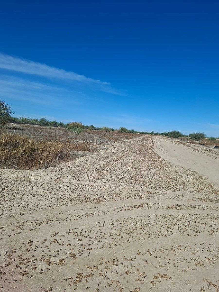Lote em Chametla, La Paz, foto 11 de 13