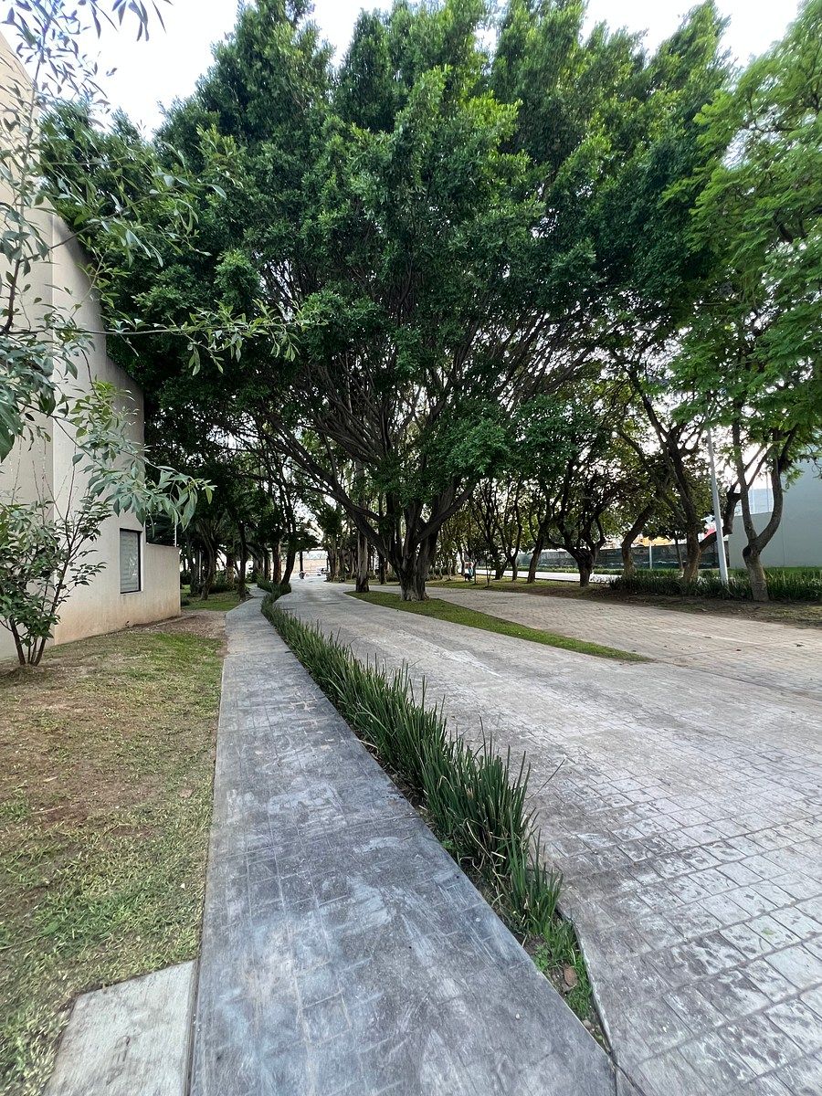 Casa en condominio en Santa Ana Tepetitlán, Zapopan, foto 31 de 44