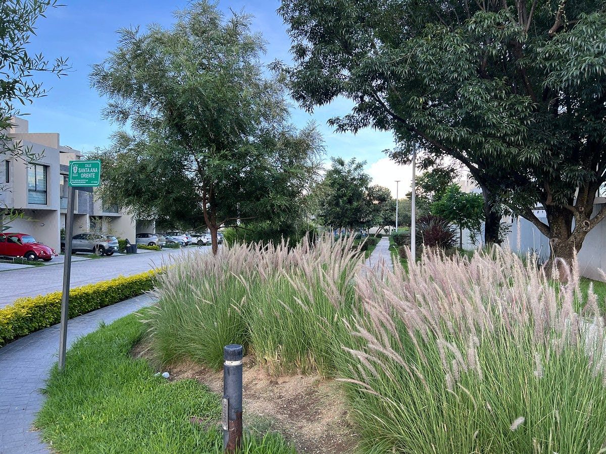 Casa en condominio en Santa Ana Tepetitlán, Zapopan, foto 34 de 44