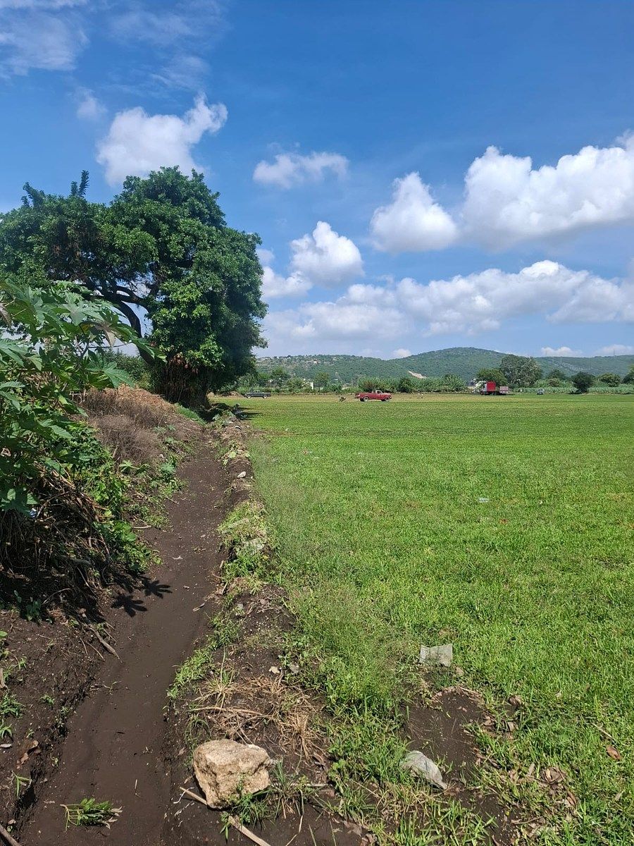 Terreno plano con bonita vista apto para quinta., foto 1 de 3