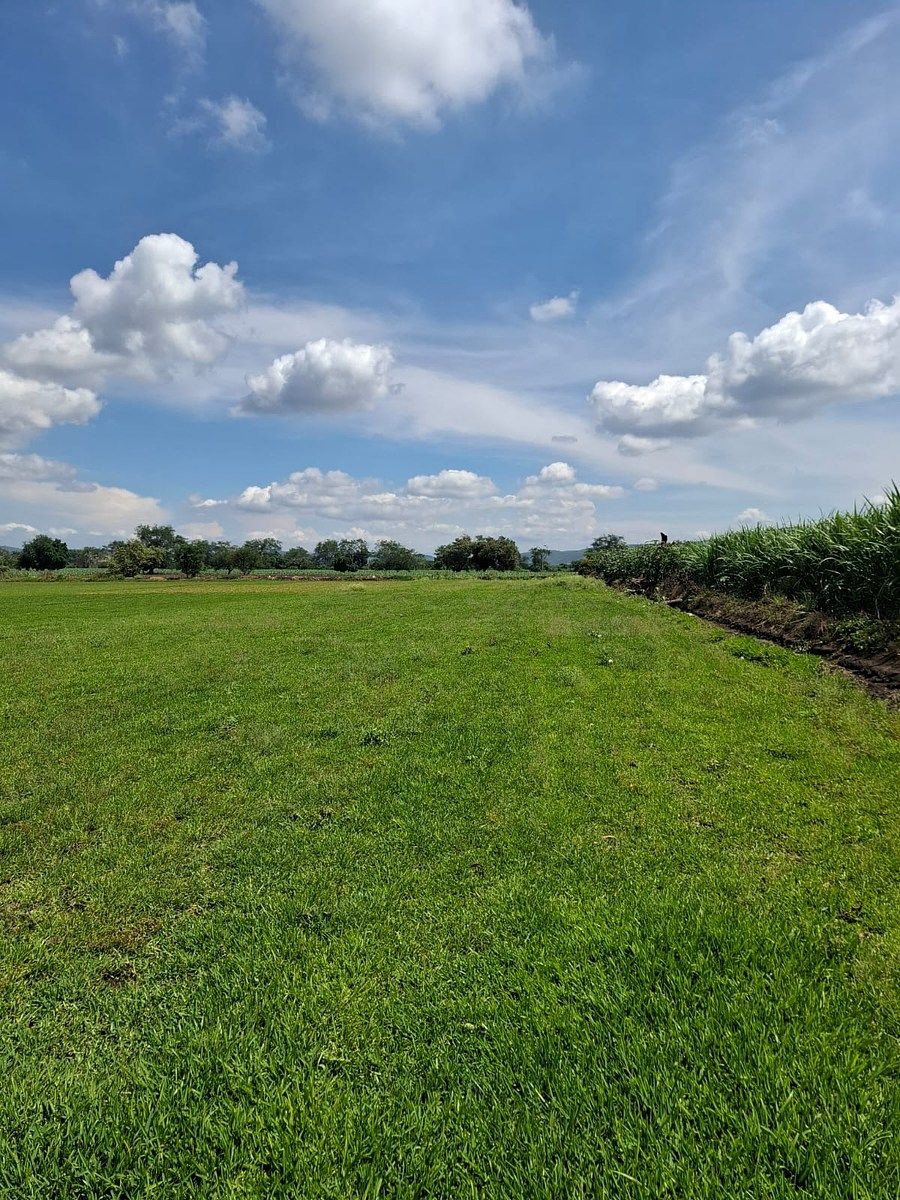 otra panoramica del terreno para rancho o finca., foto 2 de 3