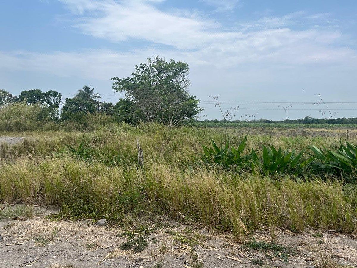 Terreno de 7.9 HECTÁREAS en venta en Piedras Negras. TLALIXCOYAN, VERACRUZ
