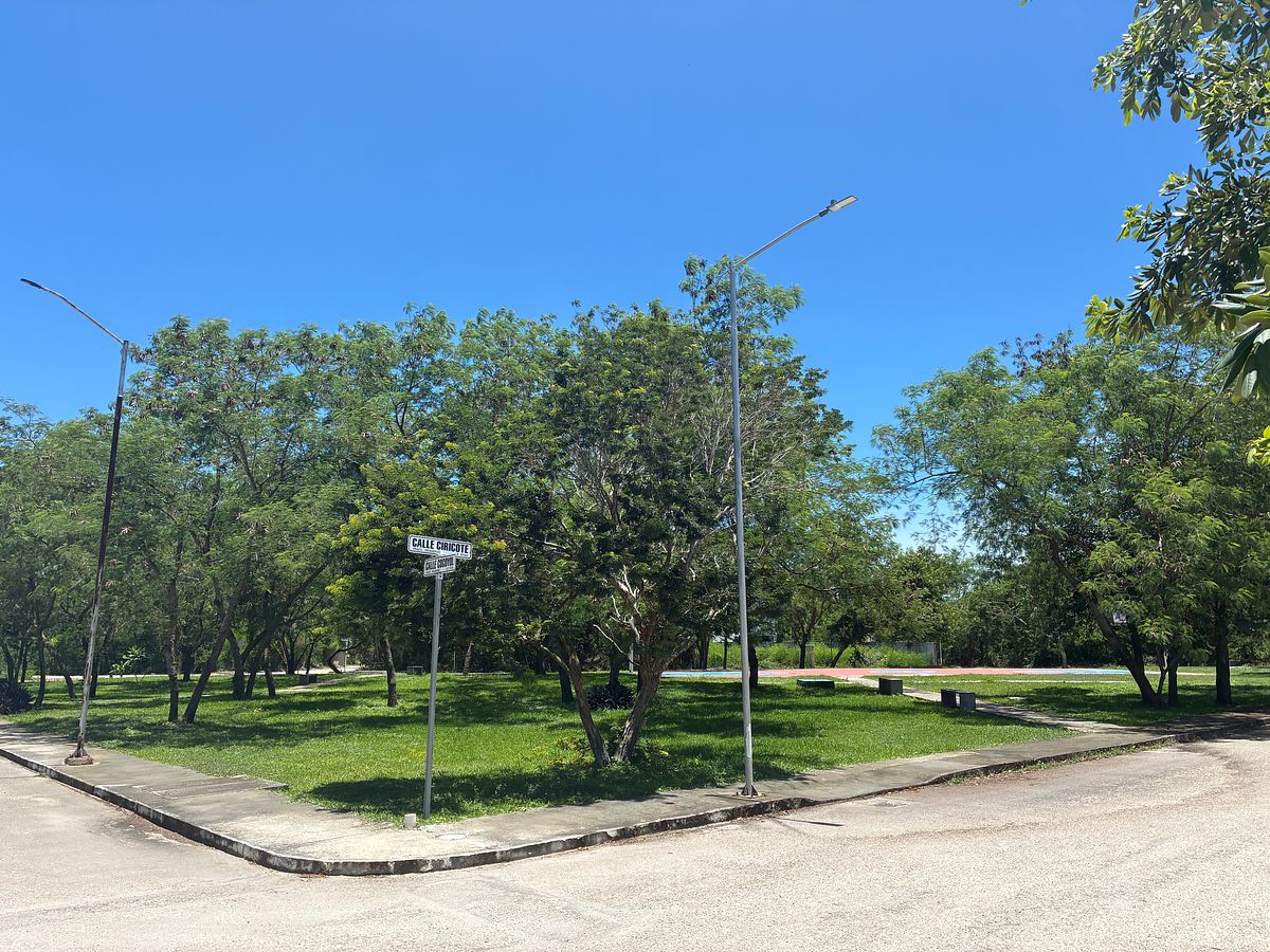 House in Gated Community in Pedregales del Mayab, Conkal, photo 5 of 21