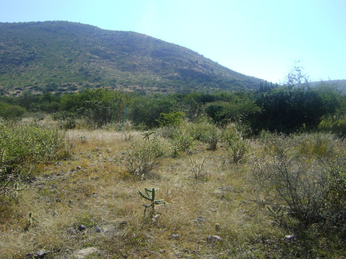 Rancho en Tolimán, Tolimán, foto 17 de 32