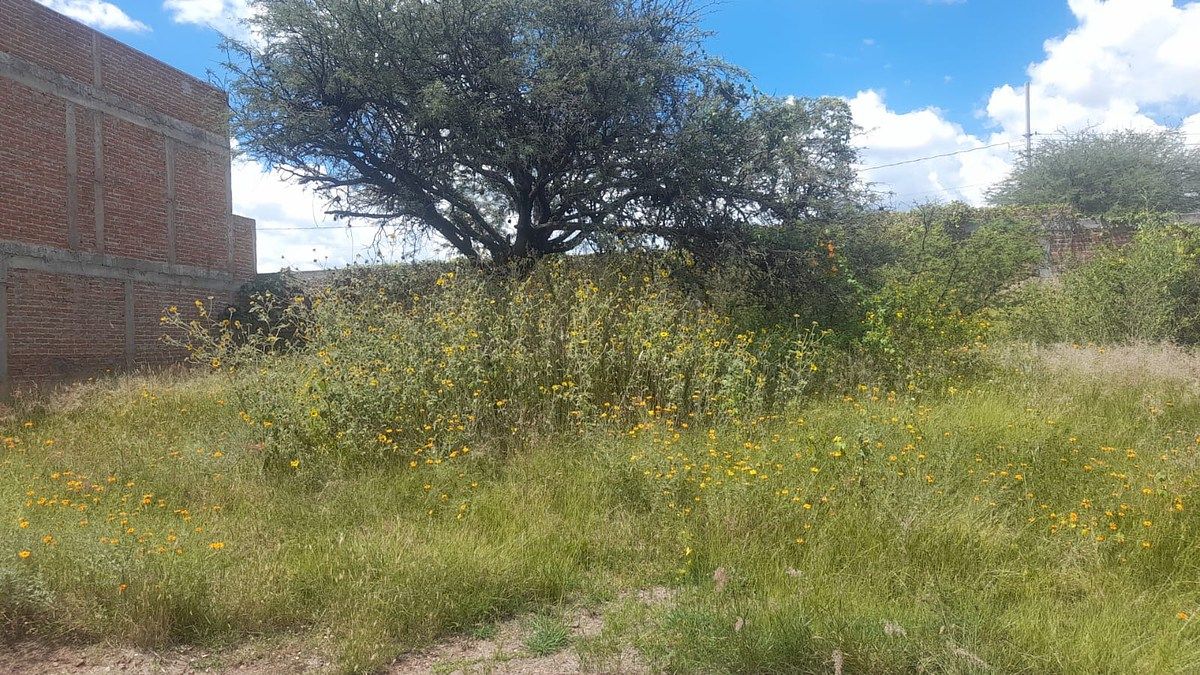 Lote em Fraccionamiento Arboledas, Guanajuato, foto 6 de 10