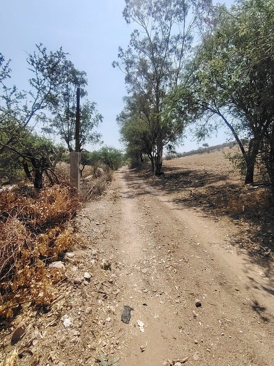 Lote em Santa Teresa, Guanajuato, foto 2 de 9