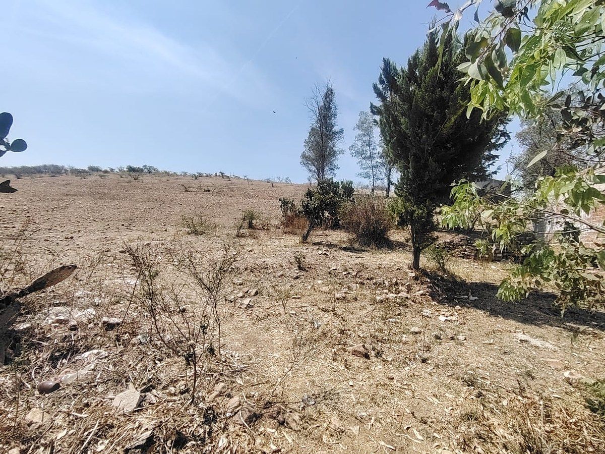 Lote em Santa Teresa, Guanajuato, foto 6 de 9