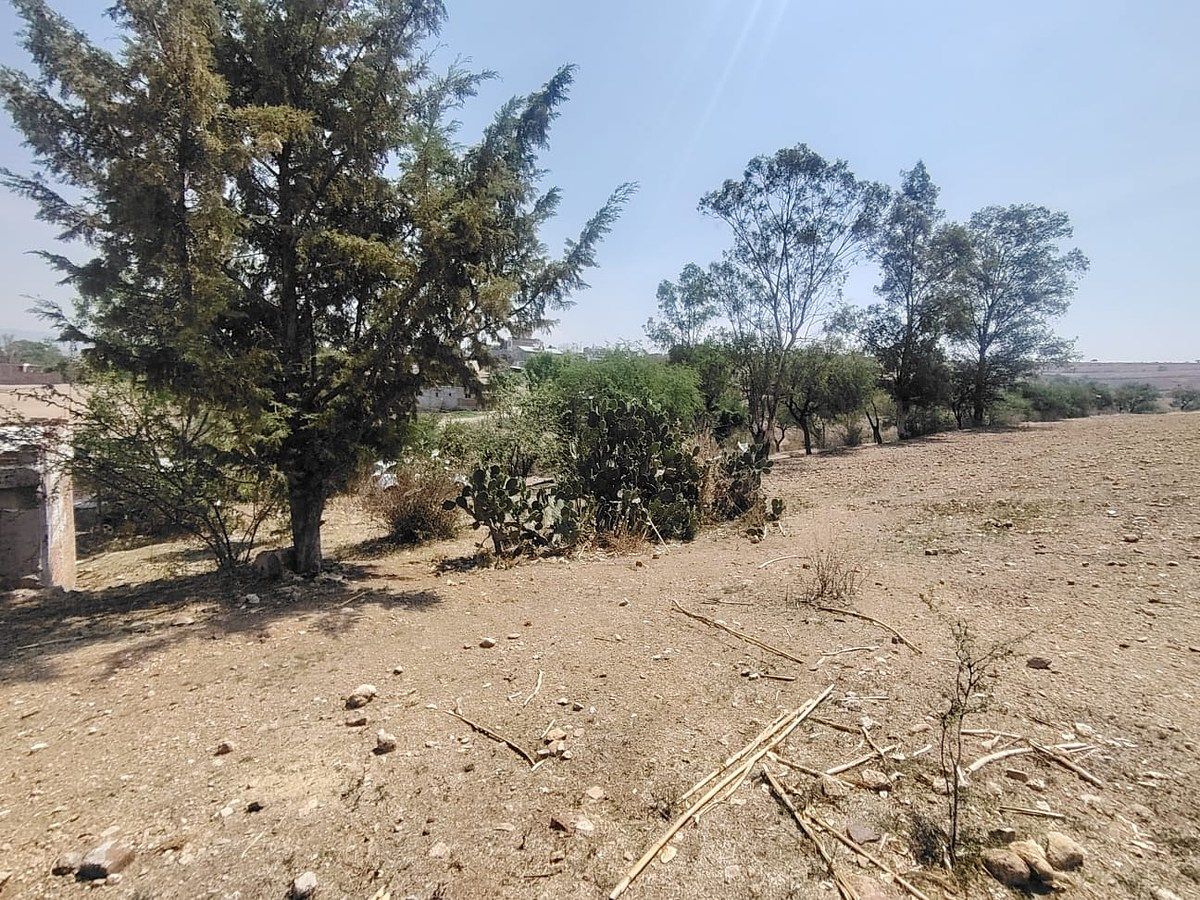Lote em Santa Teresa, Guanajuato, foto 9 de 9