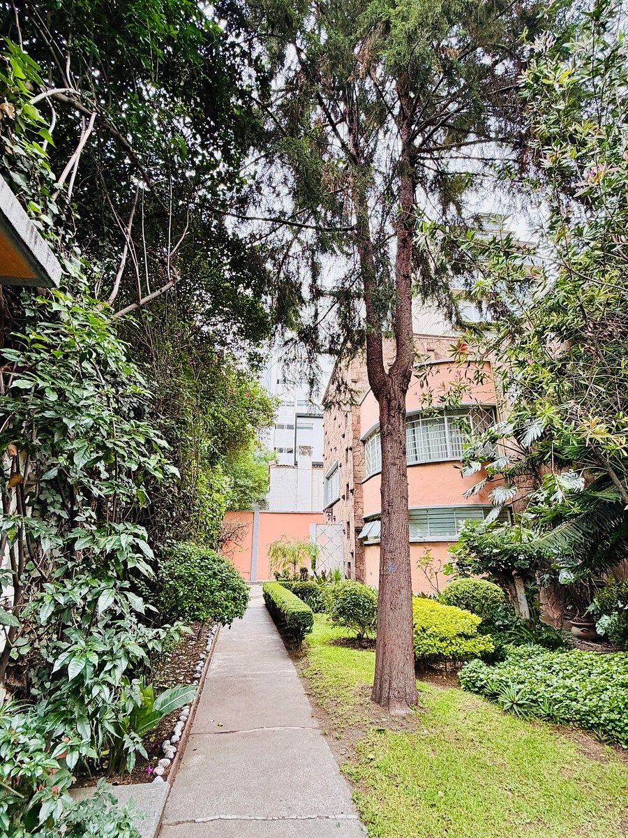Lot in Polanco IV Sección, Miguel Hidalgo, photo 13 of 13