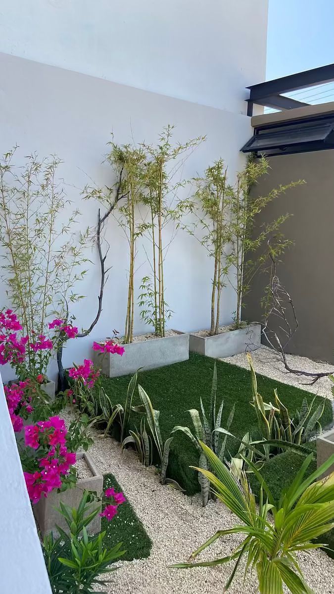 Departamento en San Benito, Dzemul, foto 4 de 38