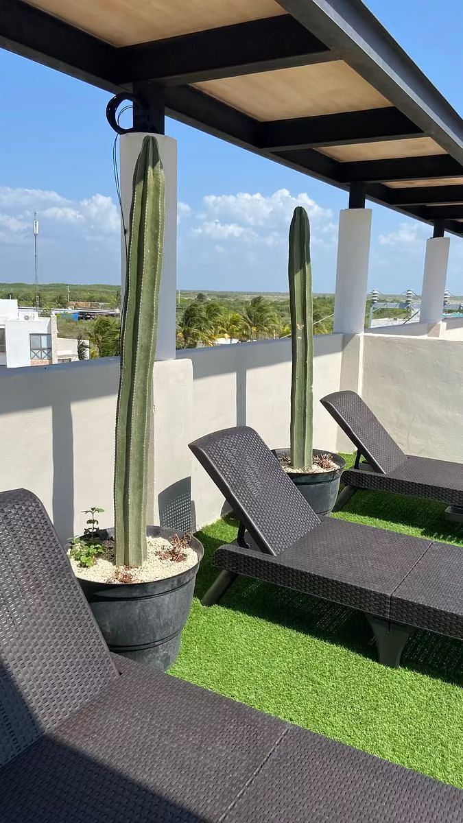 Departamento en San Benito, Dzemul, foto 25 de 38
