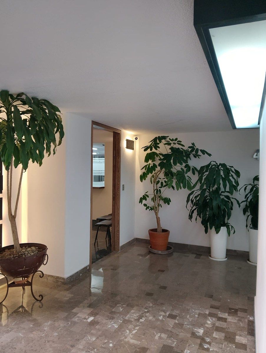 Office in Del Valle Sur, Benito Juárez, photo 9 of 12