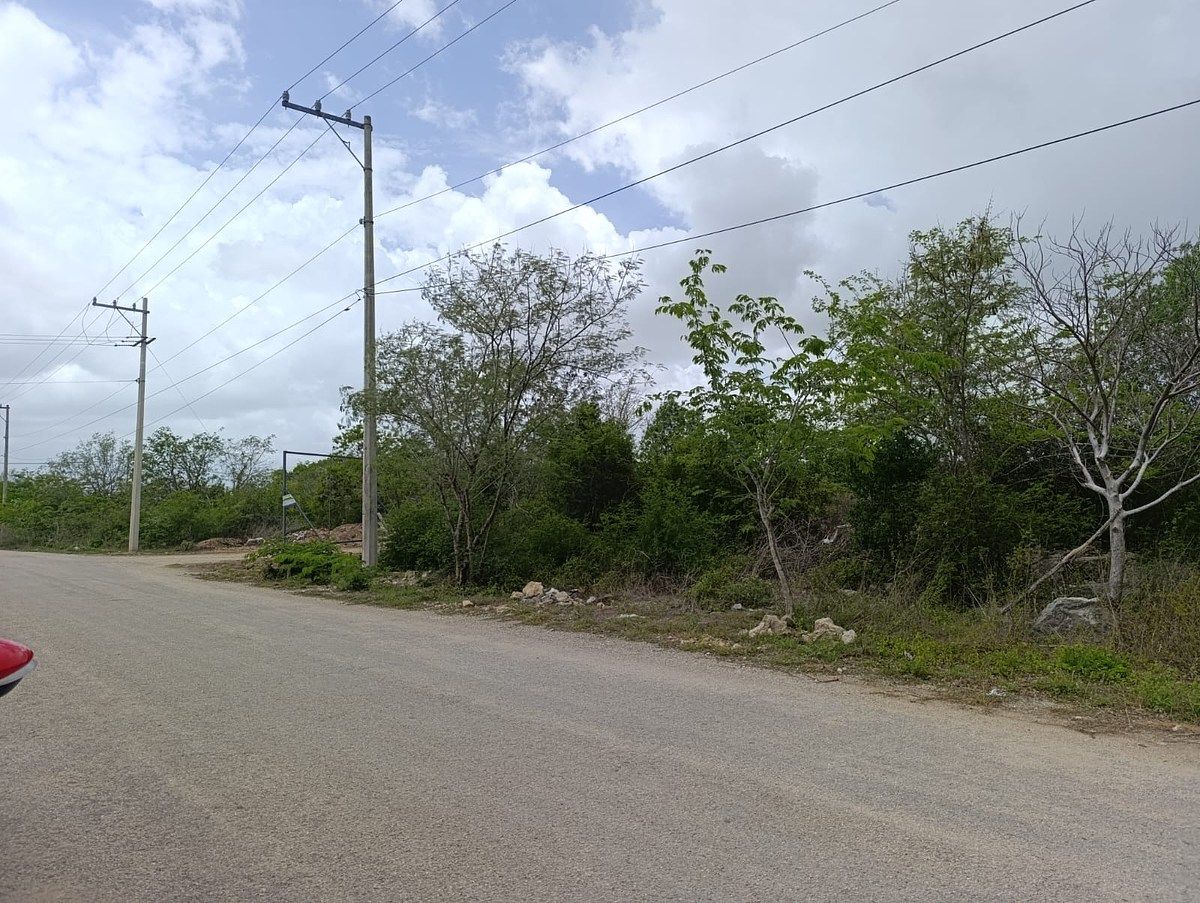 Lote em Temozón Norte, Mérida, foto 5 de 6