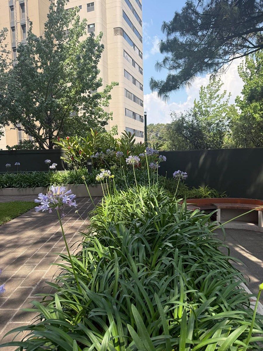 Apartamento en Venta/Renta en zona 14 - Image 5