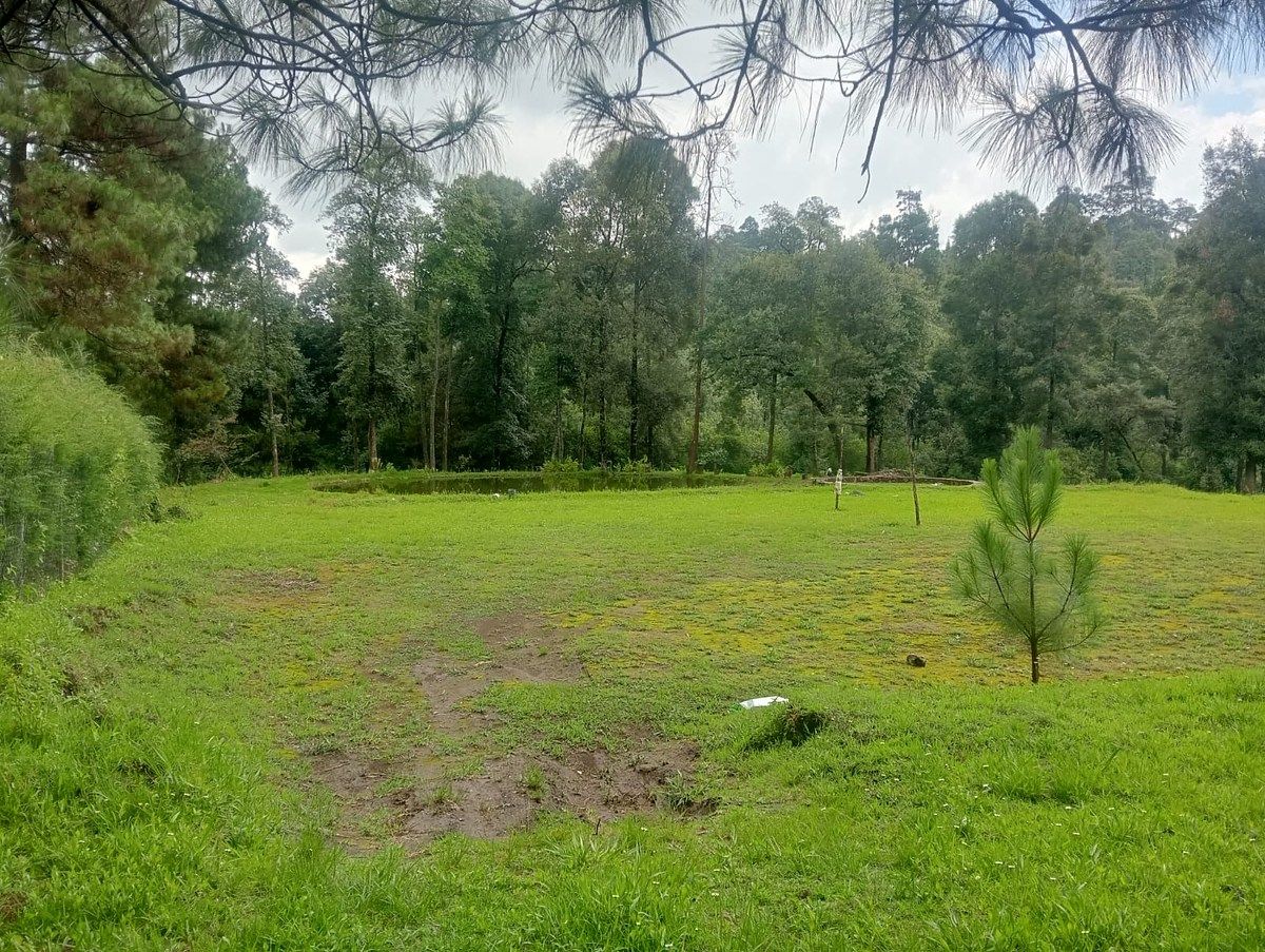 Terreno en Cuadrilla de Dolores, Valle de Bravo, foto 3 de 10