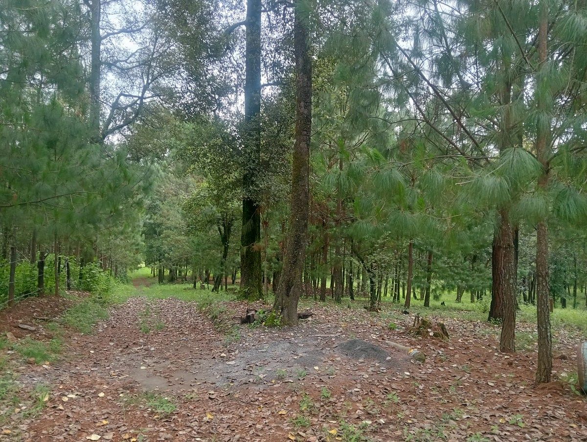 Terreno en Cuadrilla de Dolores, Valle de Bravo, foto 4 de 10