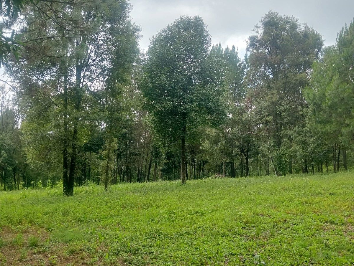 Terreno en Cuadrilla de Dolores, Valle de Bravo, foto 6 de 10