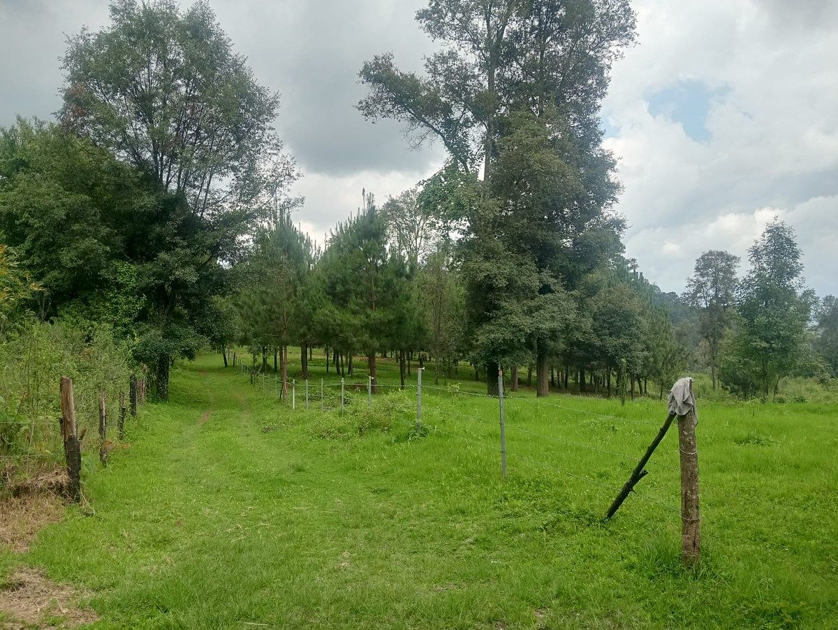 Terreno en Cuadrilla de Dolores, Valle de Bravo, foto 7 de 10