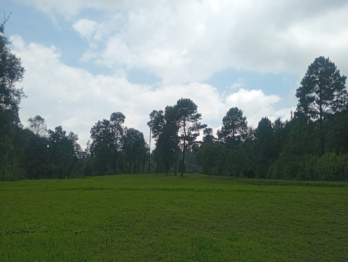 Terreno en Cuadrilla de Dolores, Valle de Bravo, foto 8 de 10