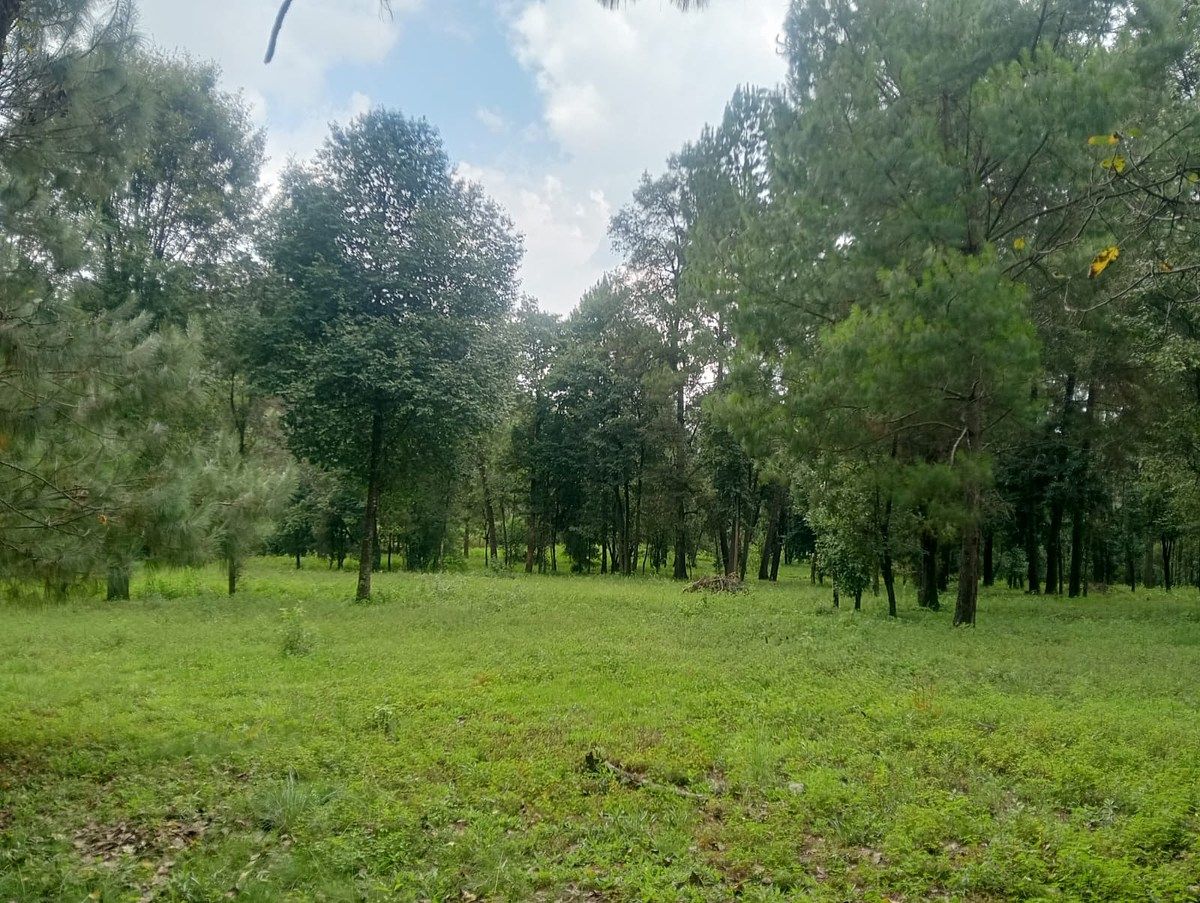 Terreno en Cuadrilla de Dolores, Valle de Bravo, foto 10 de 10