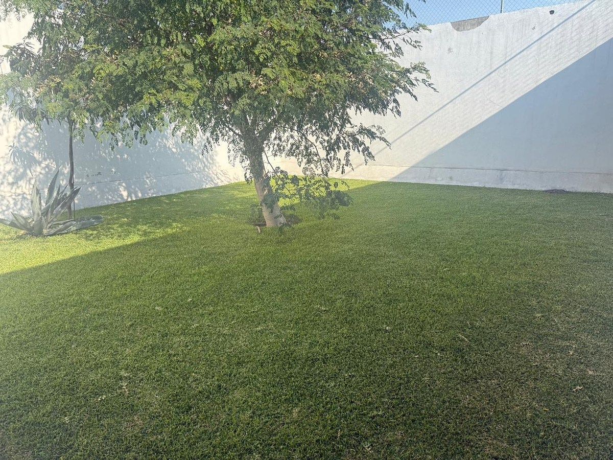 House in San Francisco, Atlatlahucan, photo 15 of 22