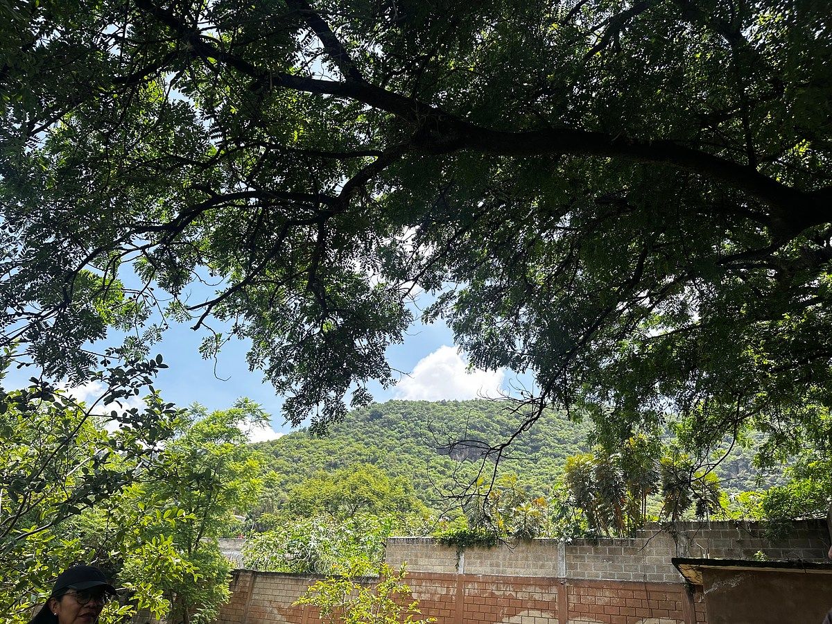 Terreno en Malinalco, Malinalco, foto 2 de 9